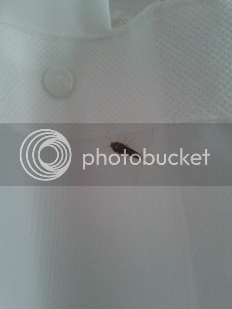 20180430_102126_zpsxlrtbbzn.jpg