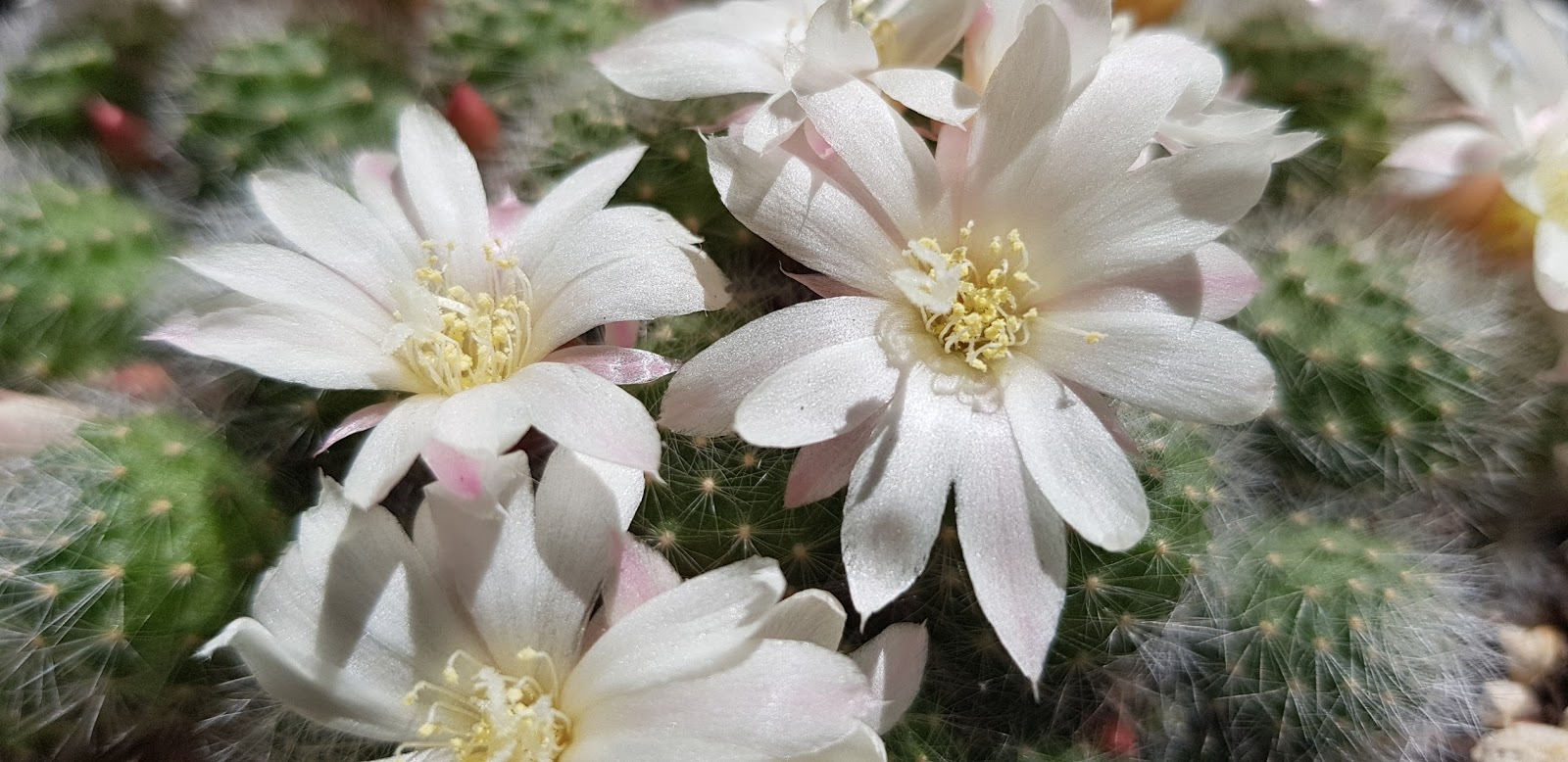 20180504_151822.jpg