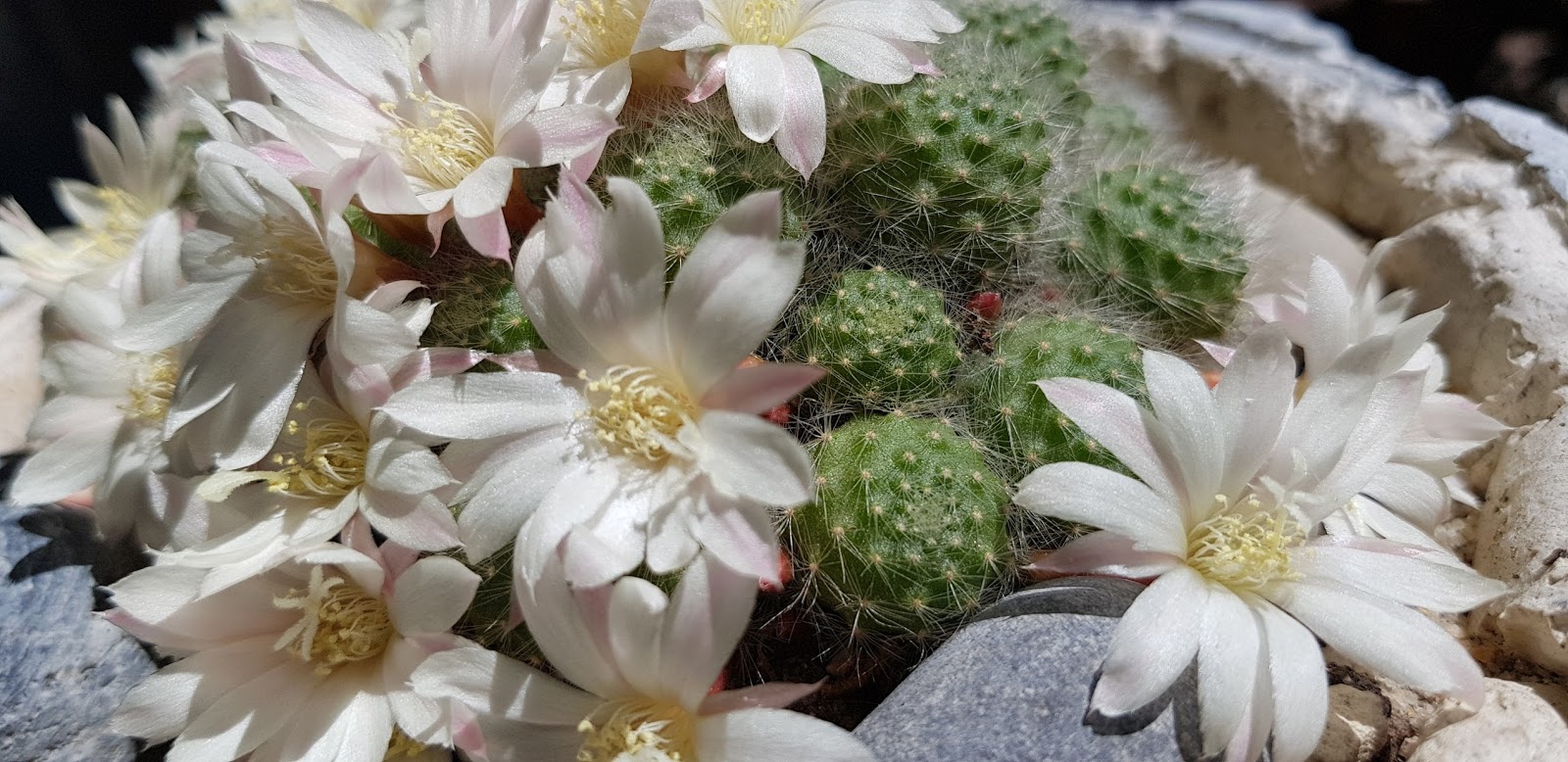20180504_151916.jpg