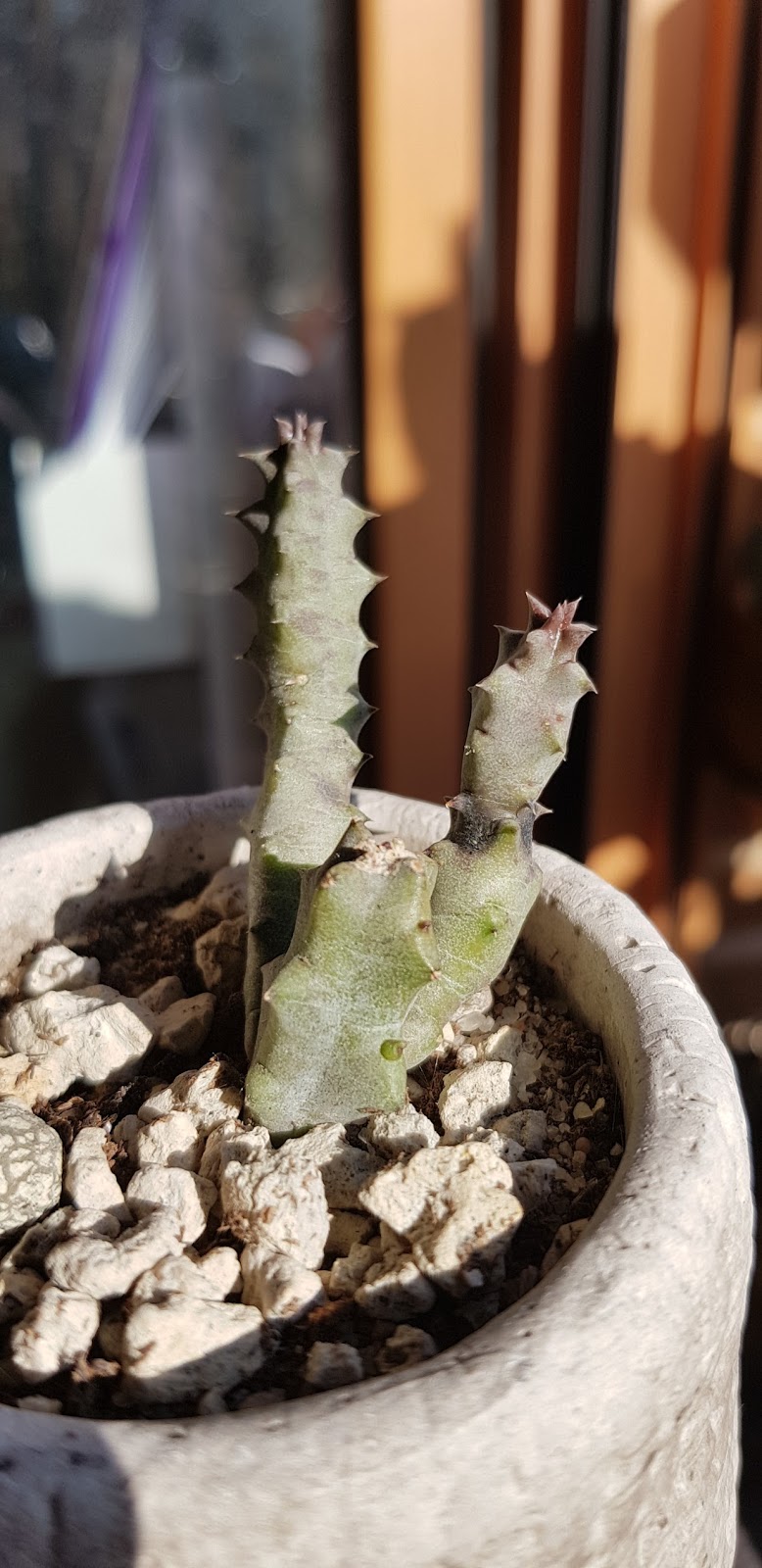 20180505_185614.jpg