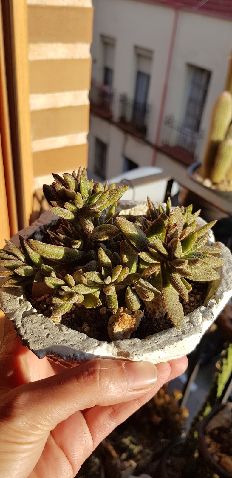 20180505_200805.jpg