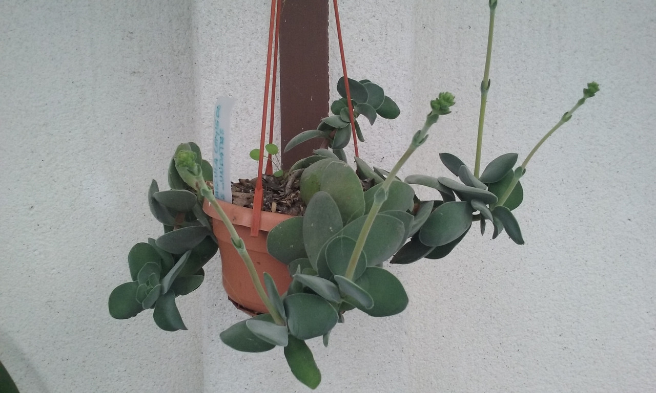 20180506_200024.jpg