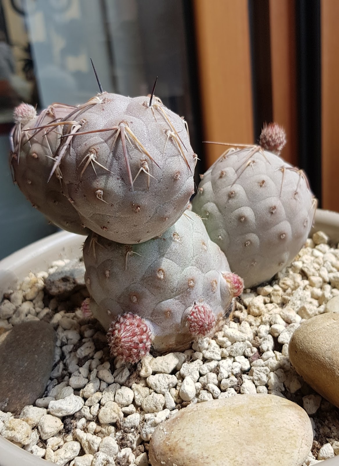 20180512_153541.jpg