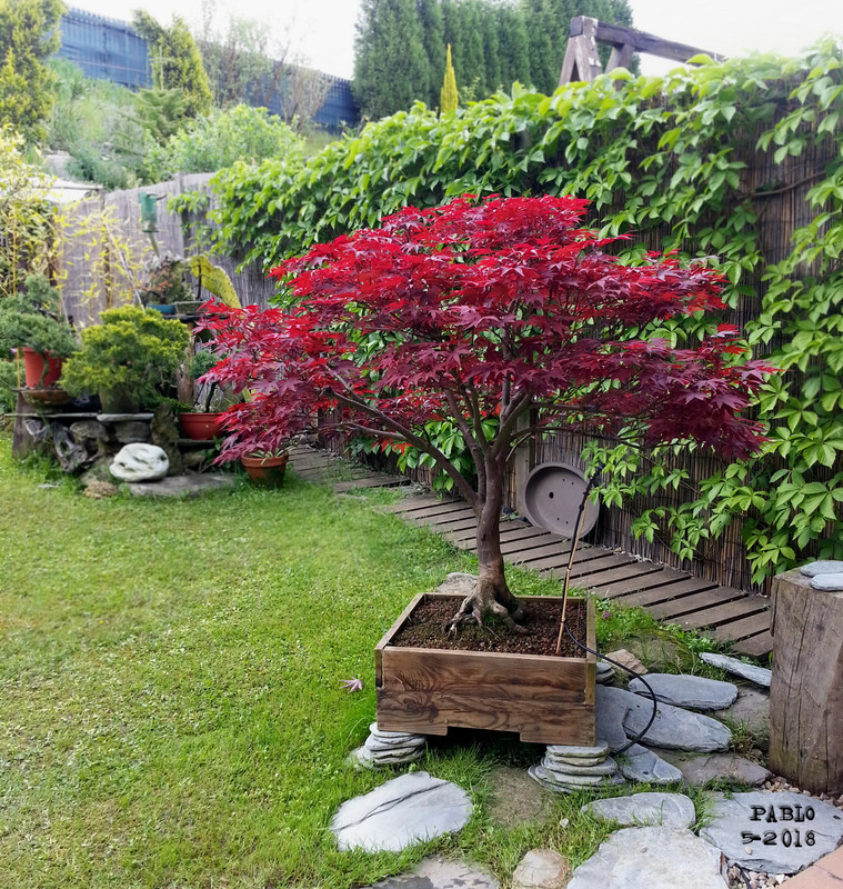 20180512_183009-1_redimensionar.jpg