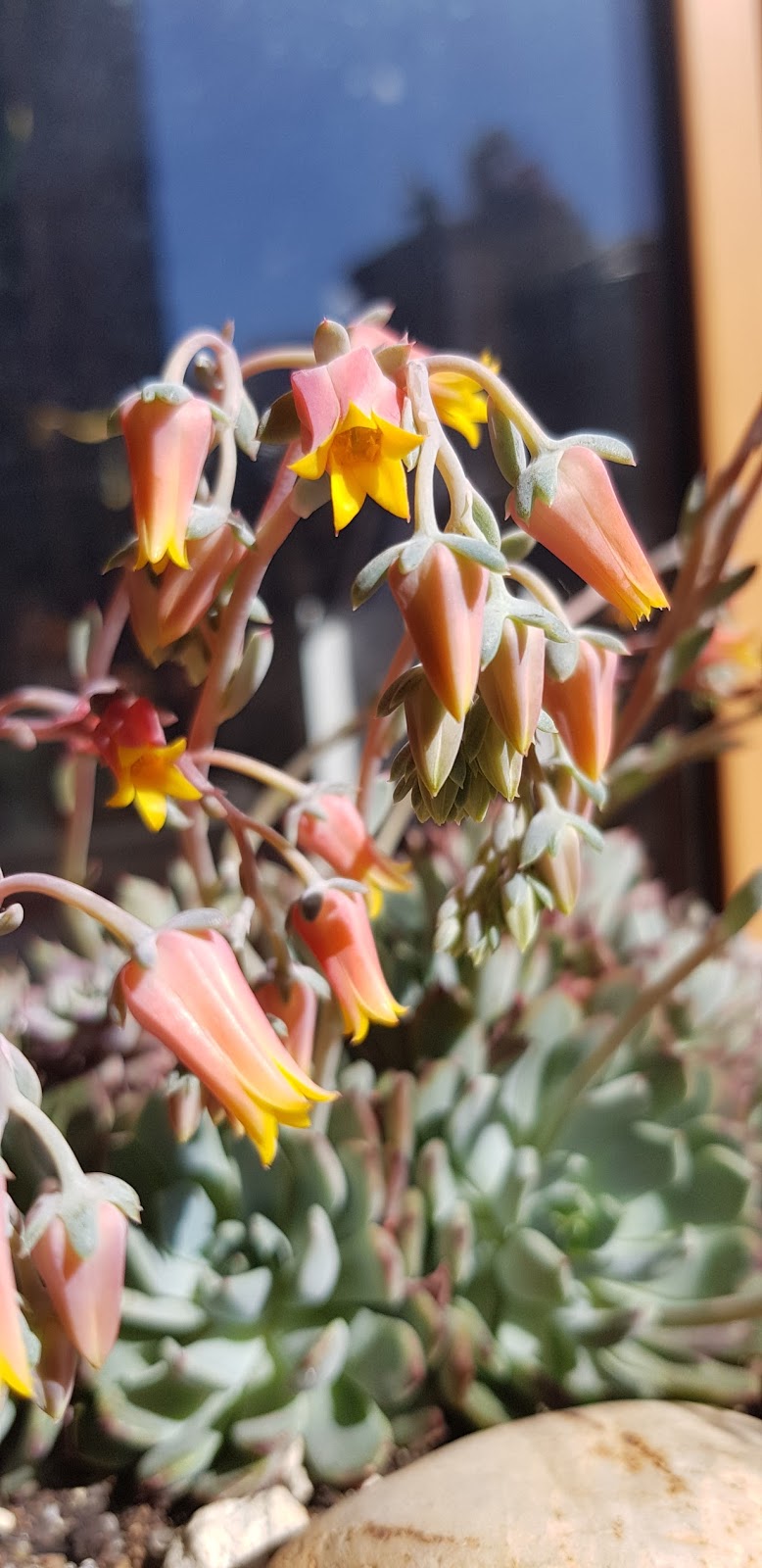 20180513_174928.jpg
