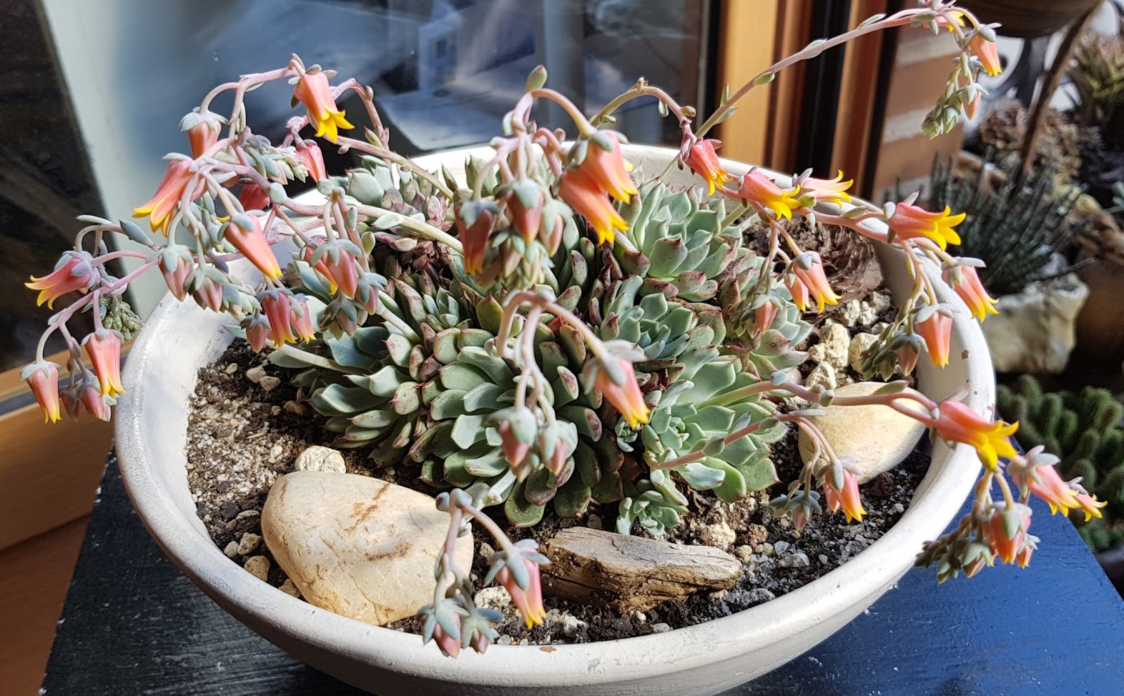 20180513_182047.jpg