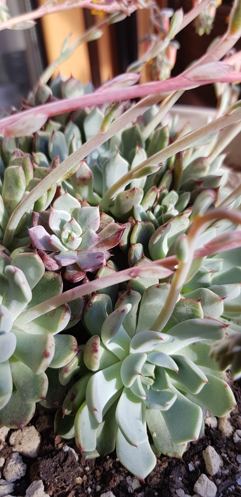 20180513_192341.jpg