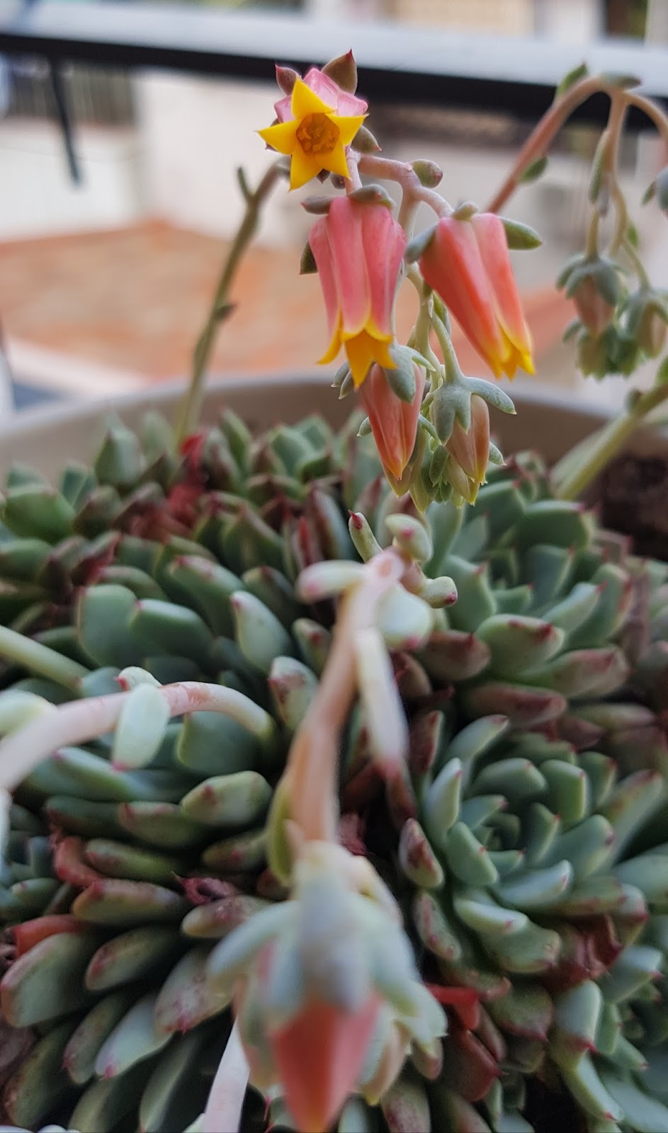 20180513_201200.jpg