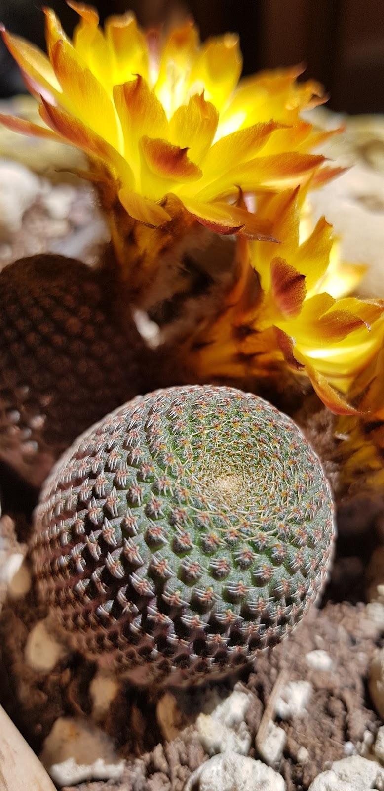 20180515_151613.jpg