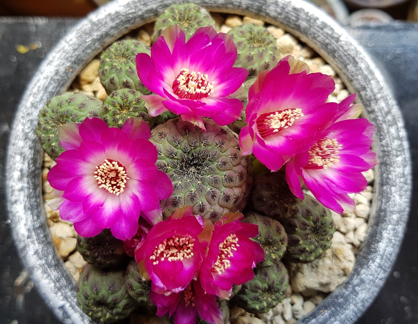 20180519_153614.jpg