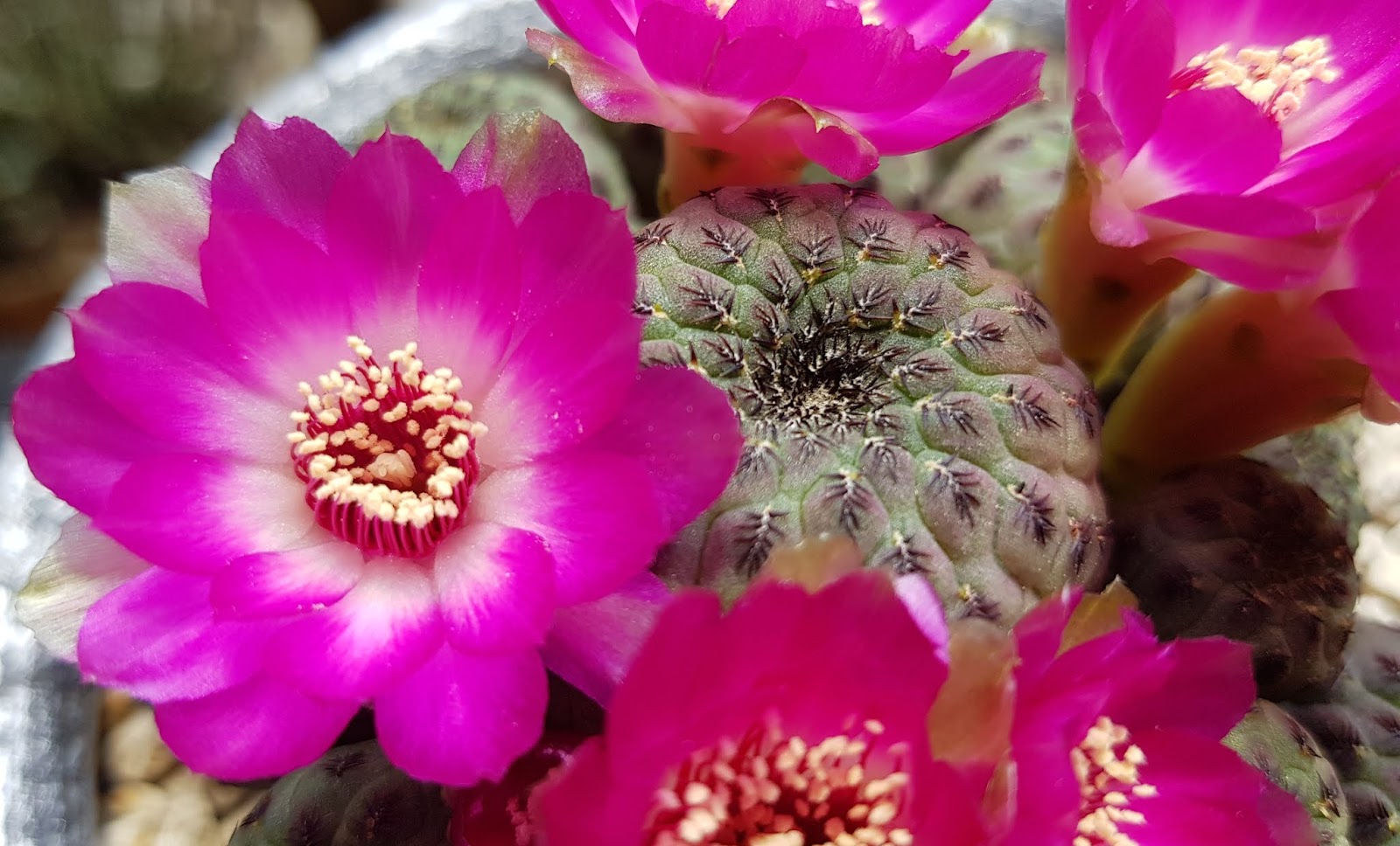 20180519_154317.jpg