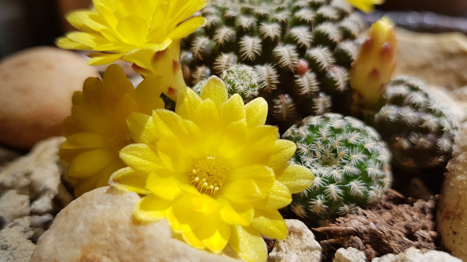20180520_150320.jpg