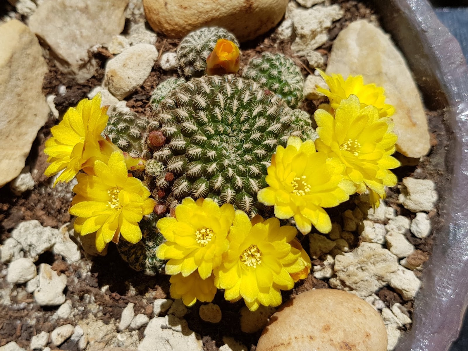 20180520_235434.jpg