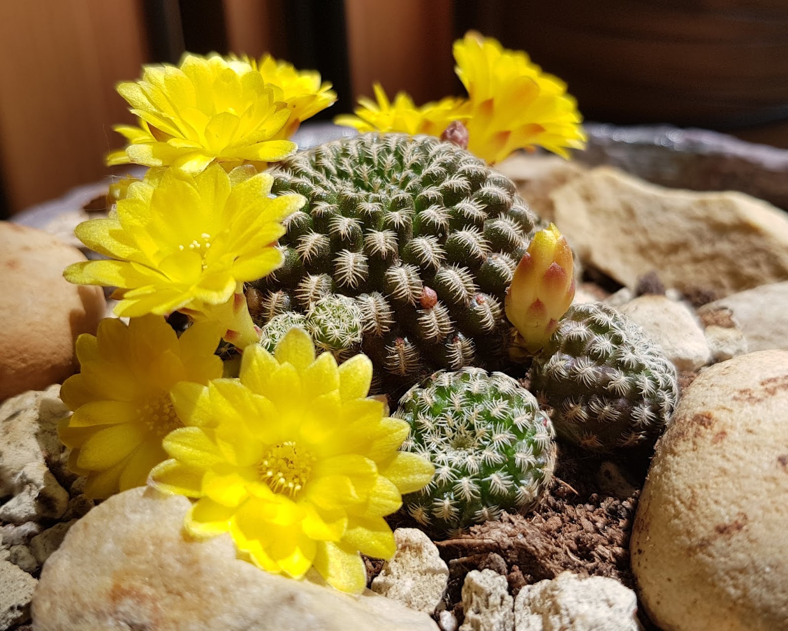 20180521_000556.jpg
