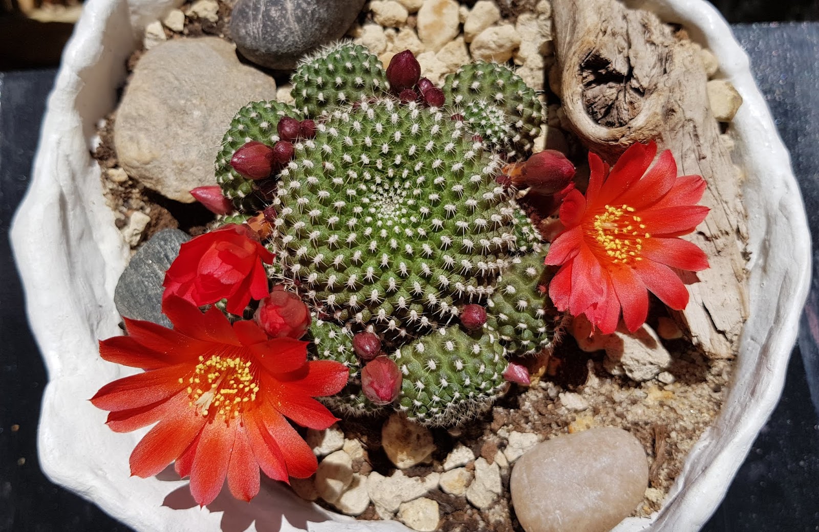 20180526_175704.jpg