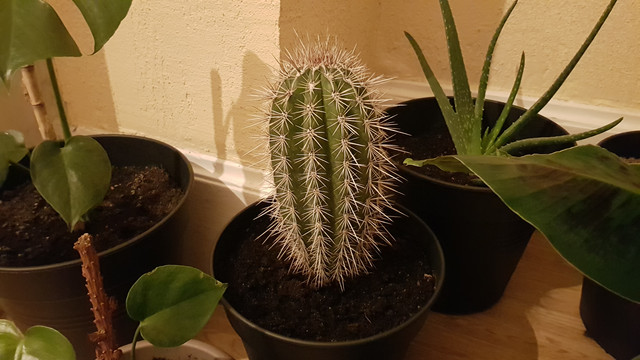 20180531_231009.jpg