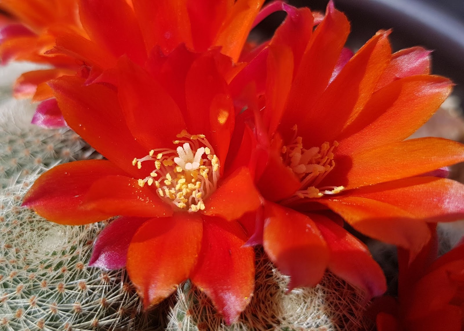 20180610_211621.jpg