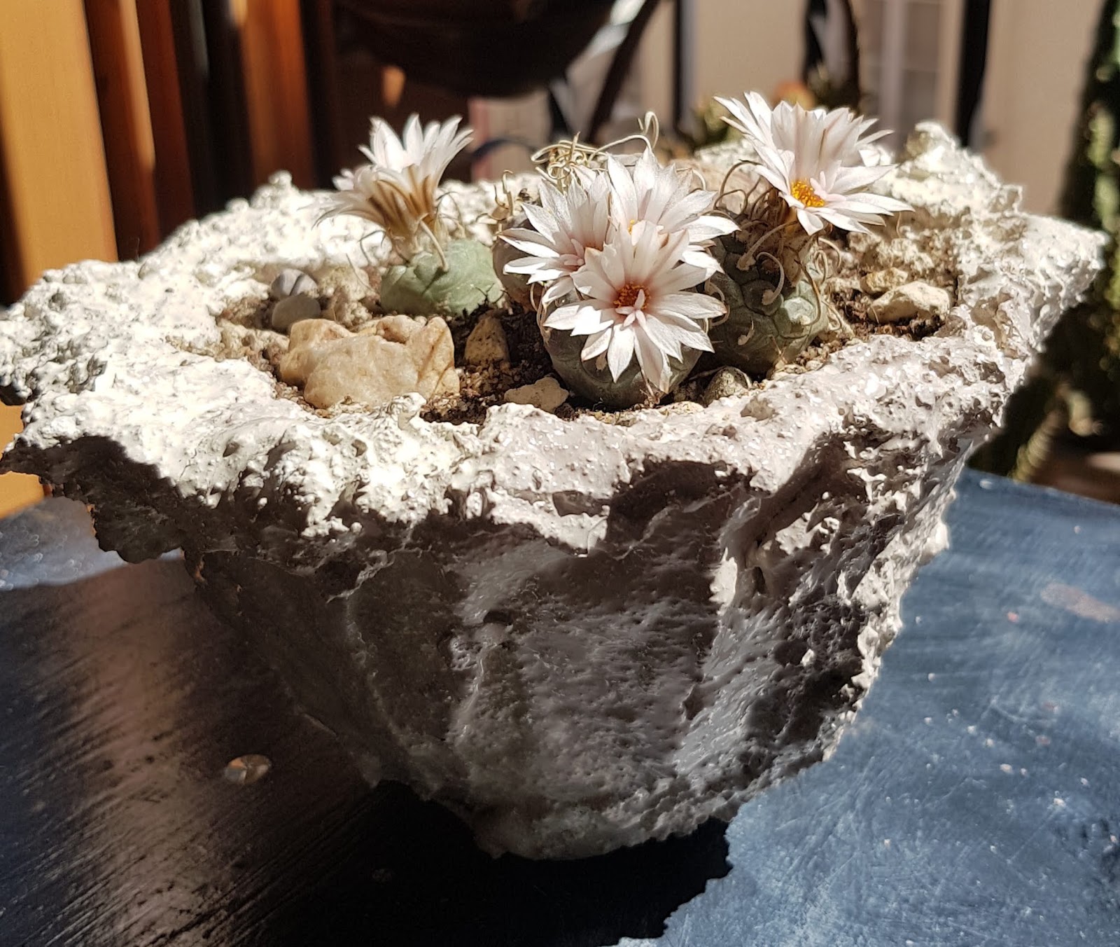 20180617_165530.jpg