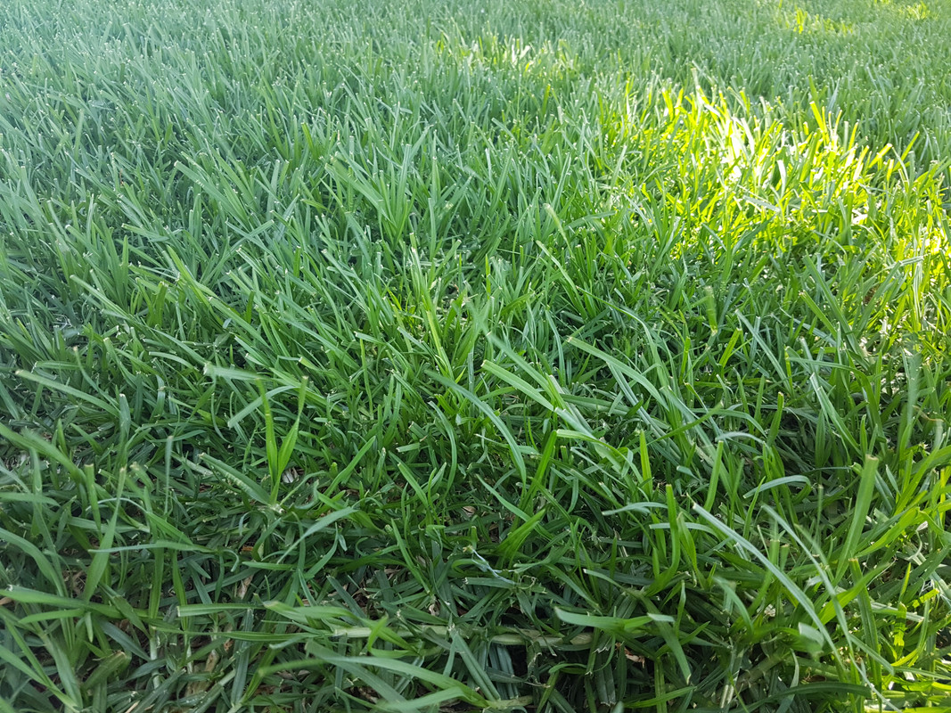 20180619_162714.jpg