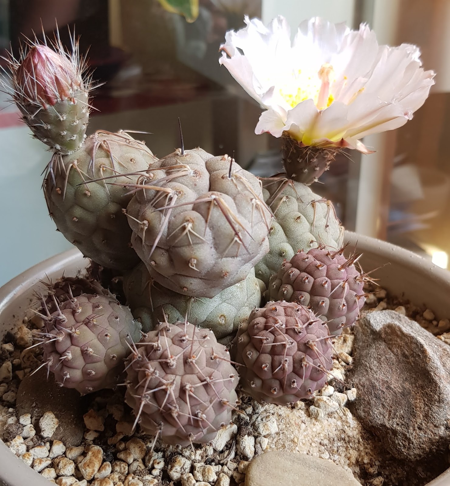 20180619_204341.jpg