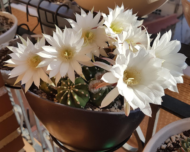 20180620_233227.jpg