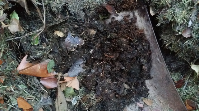 20180621_212717.jpg
