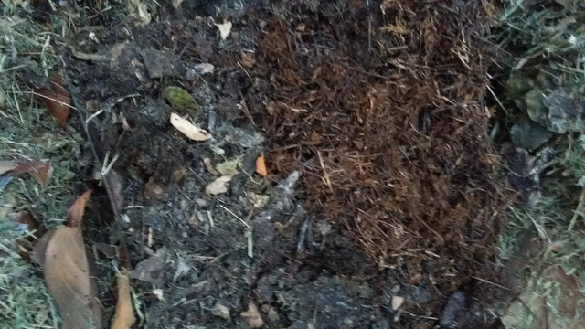 20180621_212813.jpg