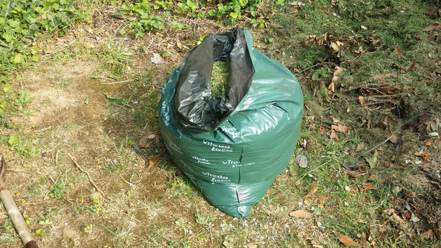 20180622_172757.jpg