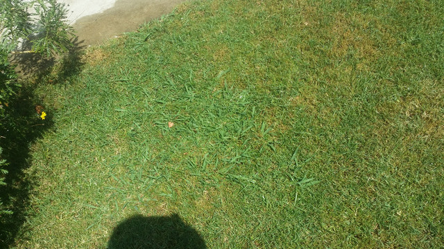 20180627_162650_1.jpg