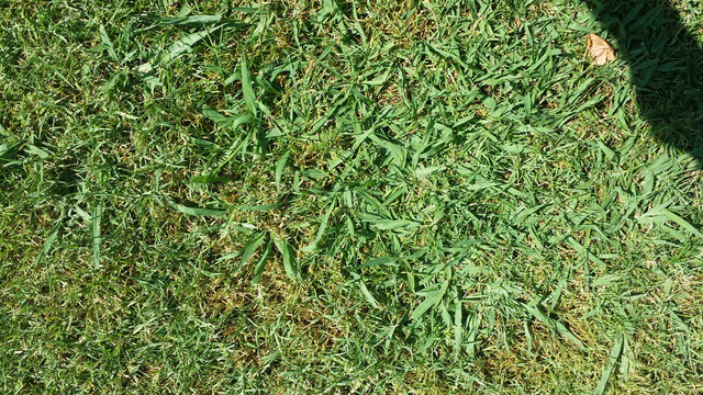 20180627_165057_1.jpg