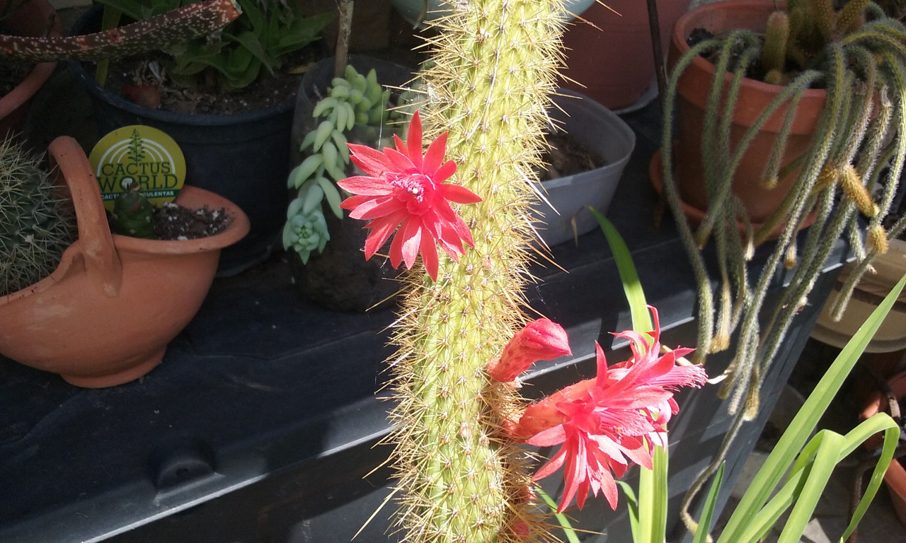 20180628_143507.jpg