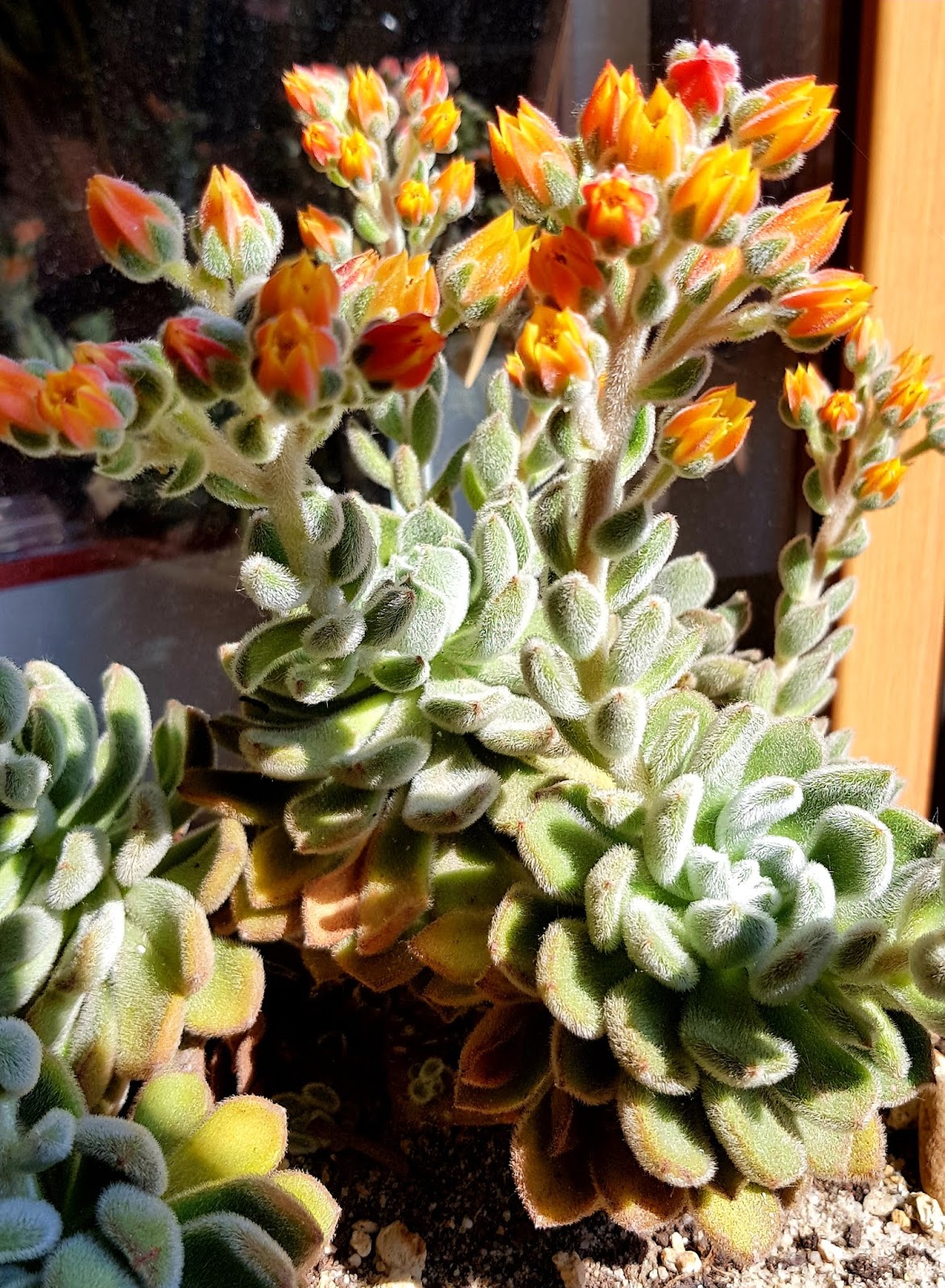 20180629_174757.jpg