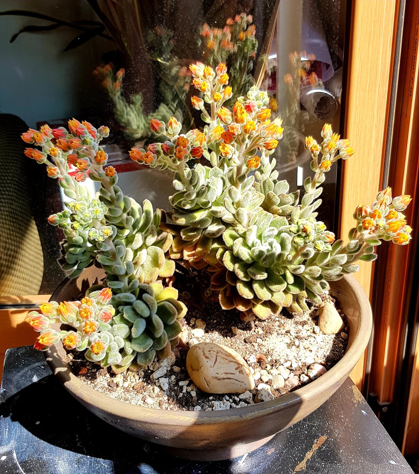 20180629_174821.jpg