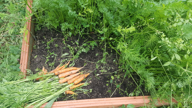 20180701_141201.jpg