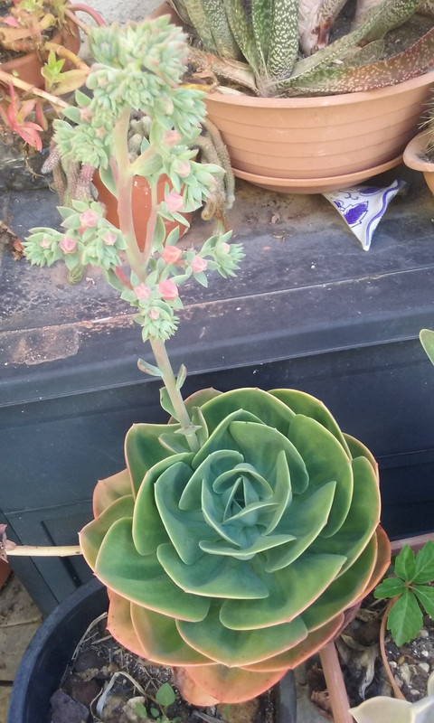 20180704_111956.jpg