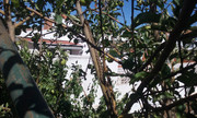 20180706_112734.jpg