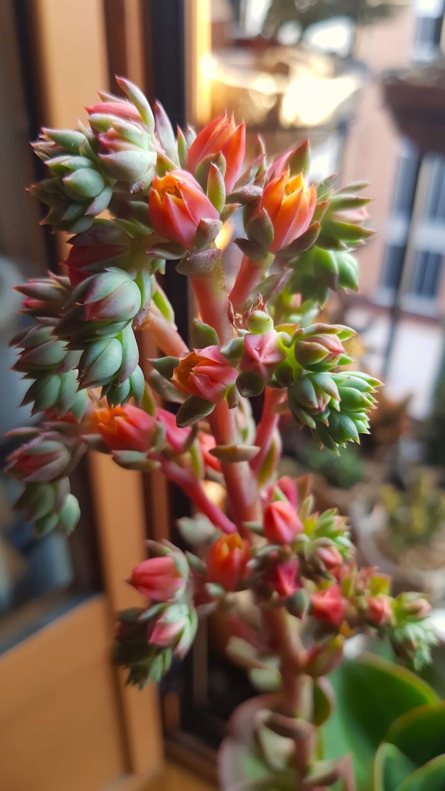 20180713_204837.jpg