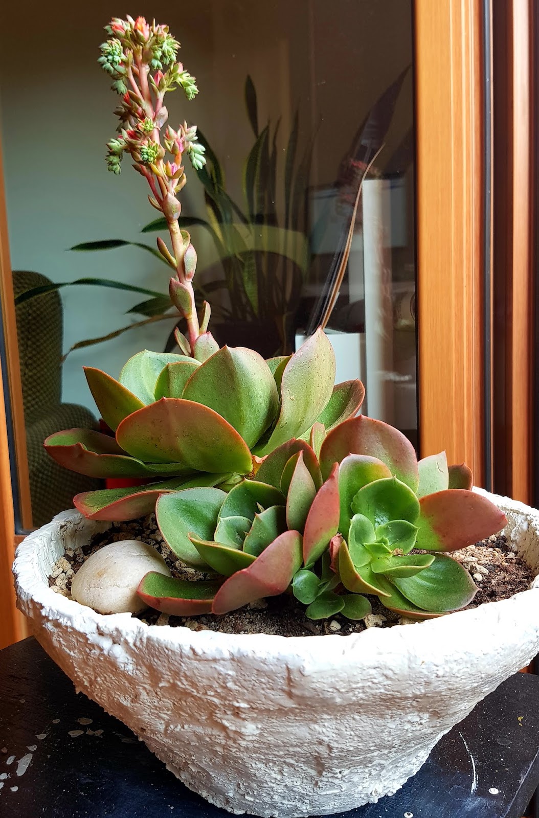 20180718_220432.jpg