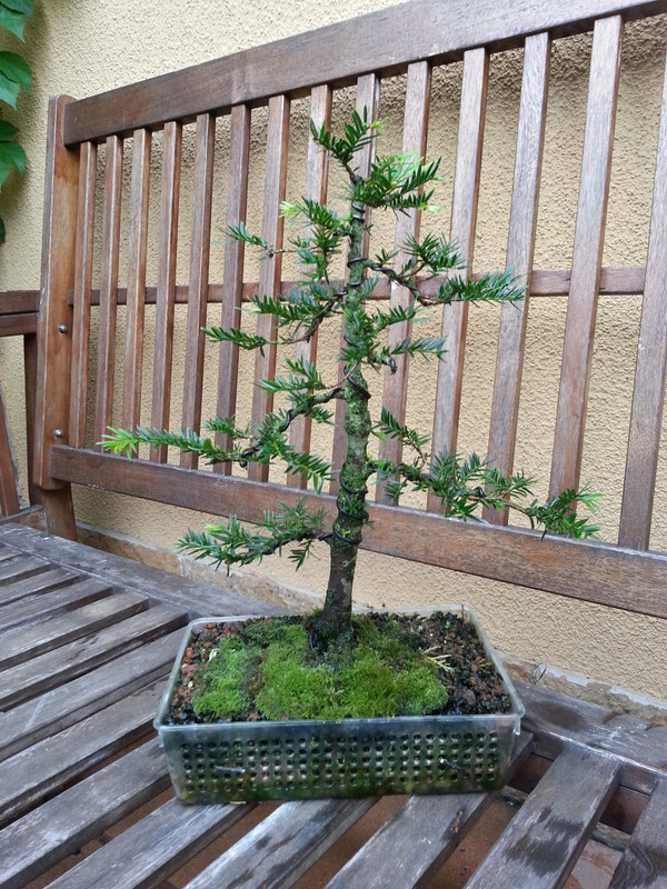20180719_190556_HDR.jpg