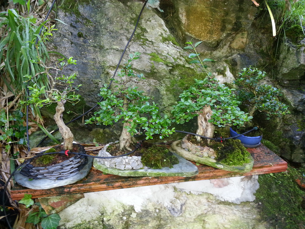 20180723_200214.jpg