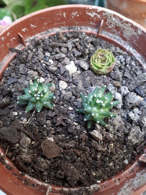 20180725_113354.jpg