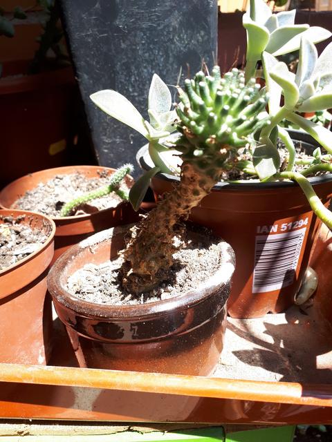 20180725_153053.jpg