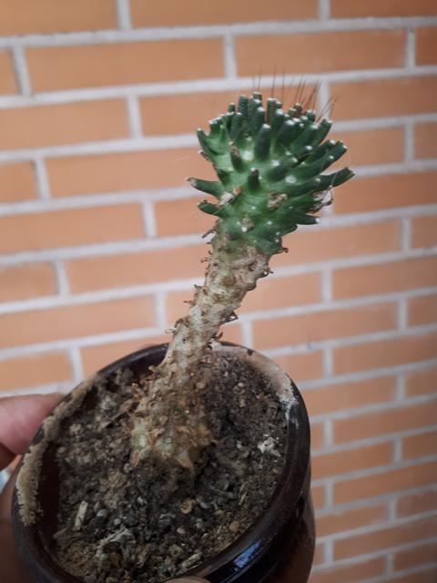20180725_153120.jpg