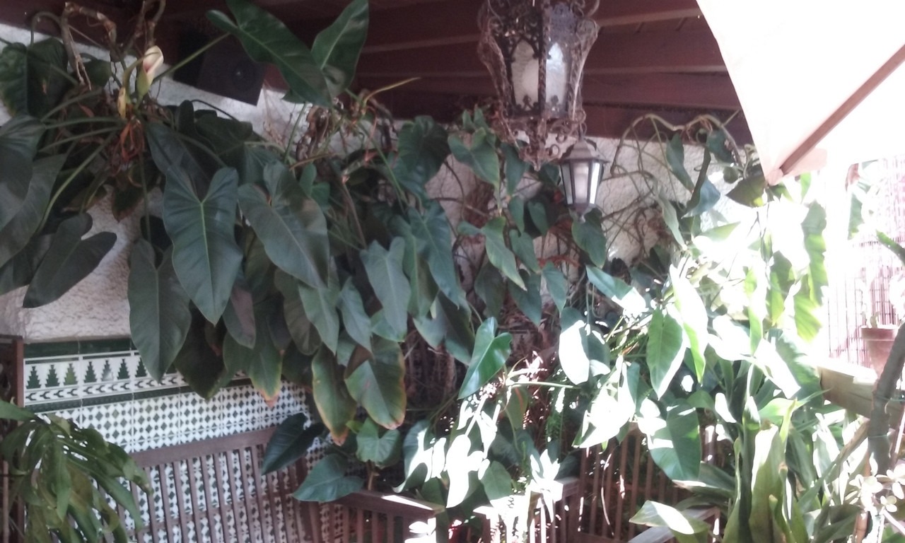 20180726_102158.jpg