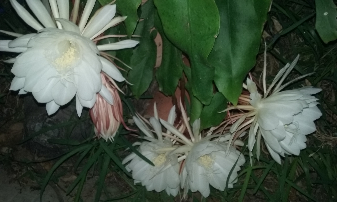 20180731_000246.jpg
