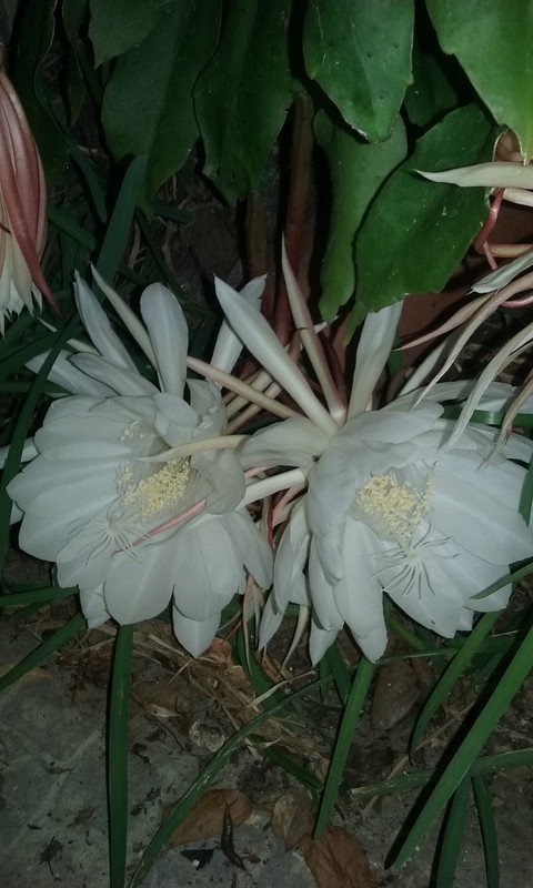 20180731_000703.jpg