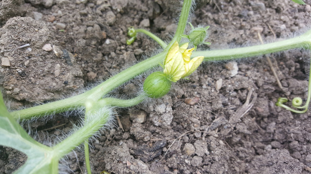 20180801_174202.jpg