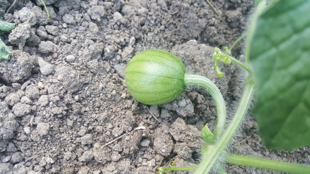 20180805_175326.jpg