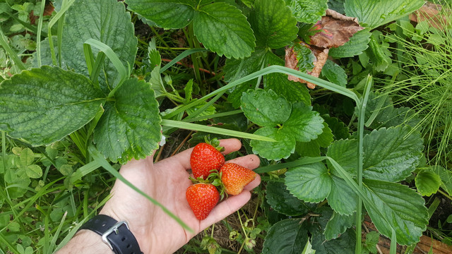 20180813_165409.jpg