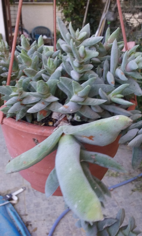 20180813_192258.jpg